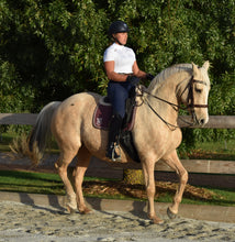 Load image into Gallery viewer, Summer Tights