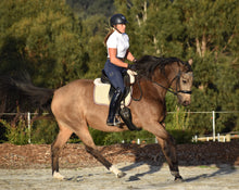 Load image into Gallery viewer, Summer Tights